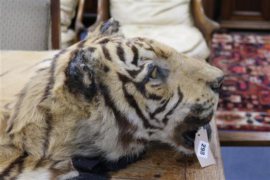 A tiger skin rug, complete with head and claws